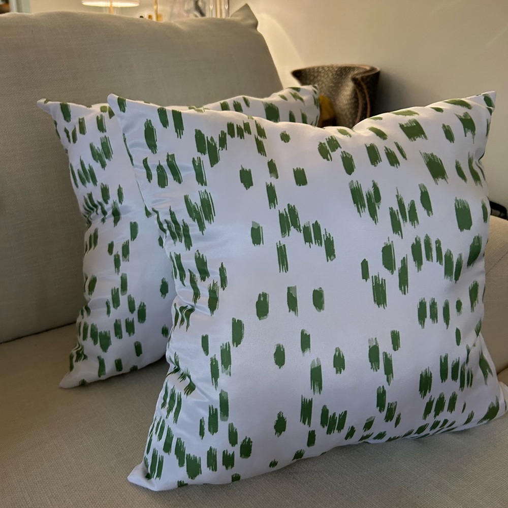 Decorative Throw Pillow Pair